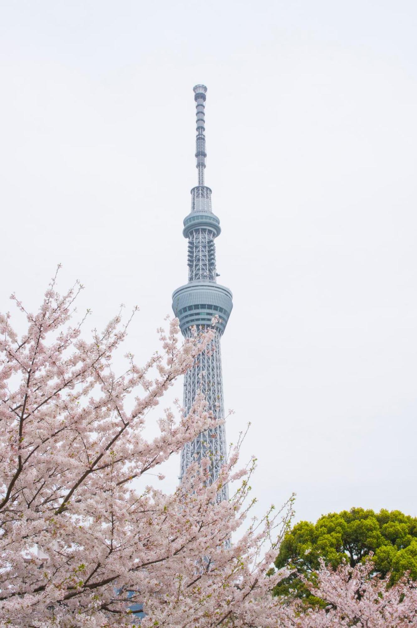 Hotel Varkin Annex Tokyo Exterior photo